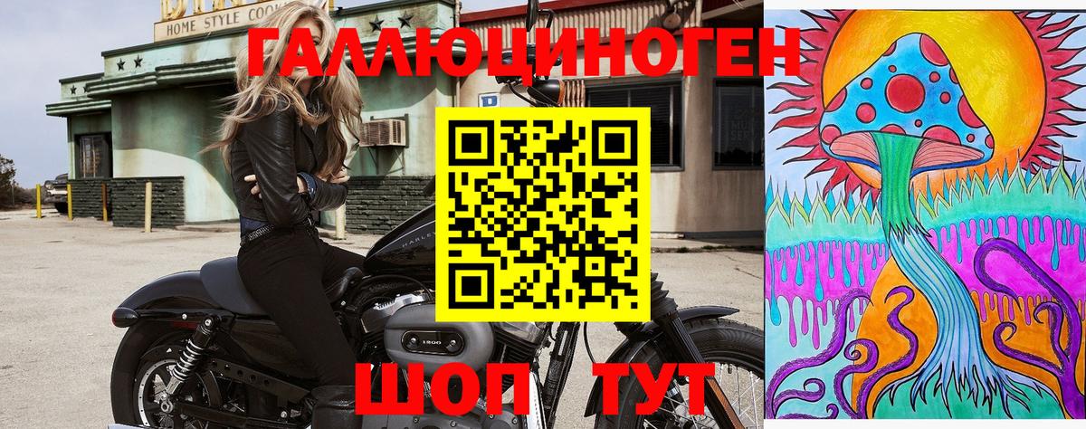 Галлюциногенные грибы GOLDEN TEACHER Елабуга