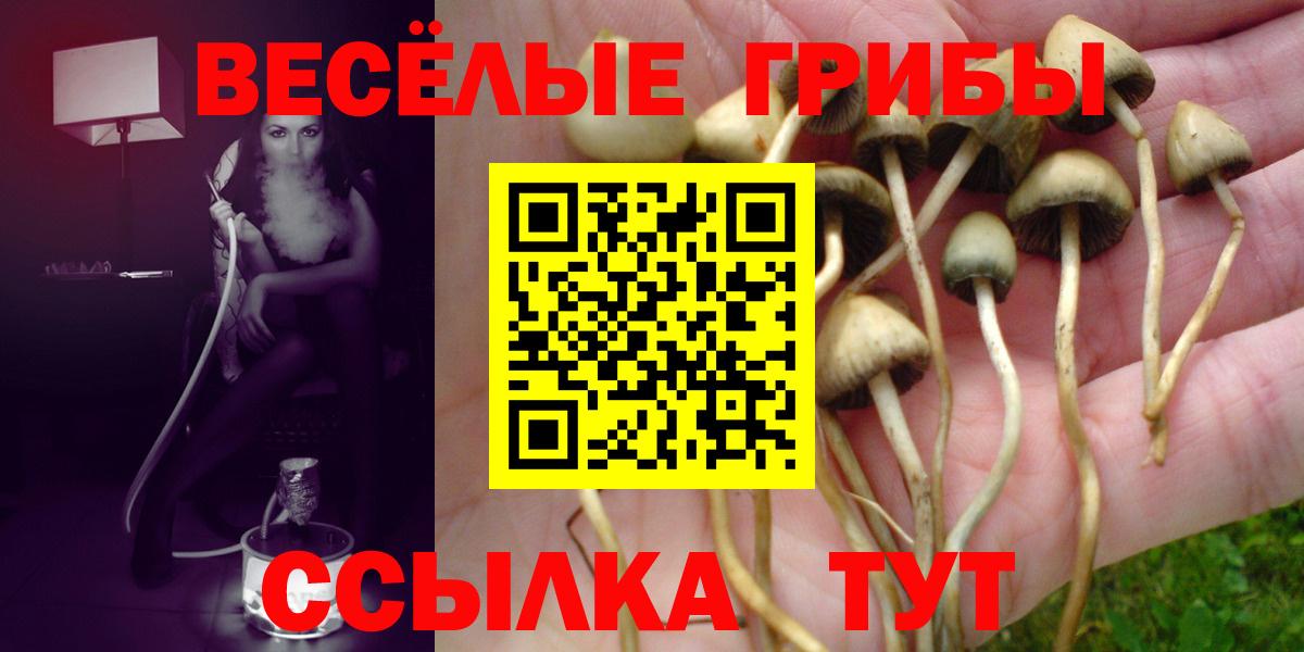 Галлюциногенные грибы прущие грибы  Вход с VPN  Елабуга 